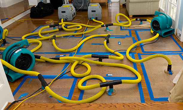 Professional Basement Flood Cleanup technician working in Converse, SC